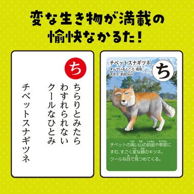 3568 変ないきものかるた