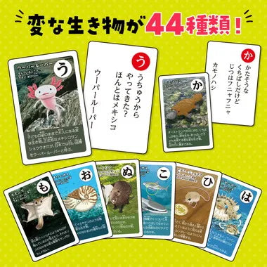 3568 変ないきものかるた