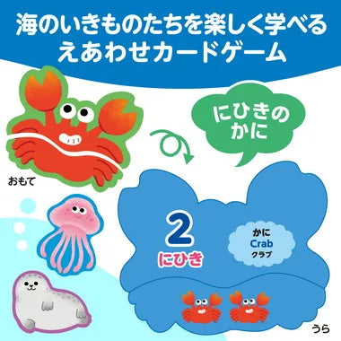 7197 海のいきものえあわせカードゲーム