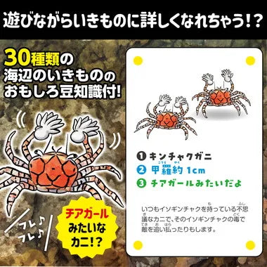 21657 いきものみっけ!かるた うみべのいきもの