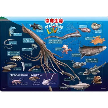 MC-80-759 深海生物図鑑(学研の図鑑 LIVE)