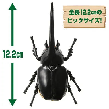 アニア AL-39 ネプチューンオオカブト