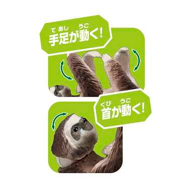 アニア AS-26 ナマケモノ(ノドチャミユビナマケモノ)