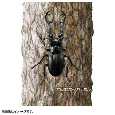 アニア AS-40 ギラファノコギリクワガタ