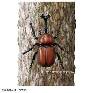 アニア AS-37 カブトムシ