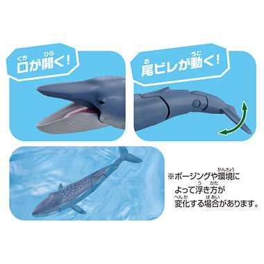 アニア AL-23 シロナガスクジラ(水に浮くVer.)