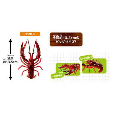 アニア 大自然の最強いきものセット