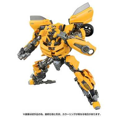 40TH SELECTION バンブルビー