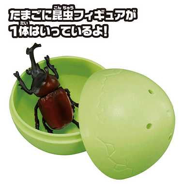アニアのたまご 昆虫コレクション