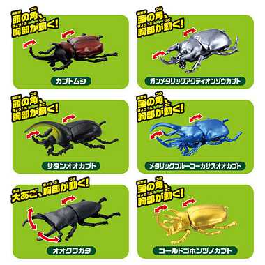 アニアのたまご 昆虫コレクション