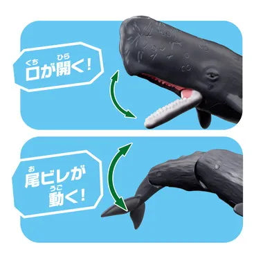 アニア AL-34 マッコウクジラ(水に浮くVer.)
