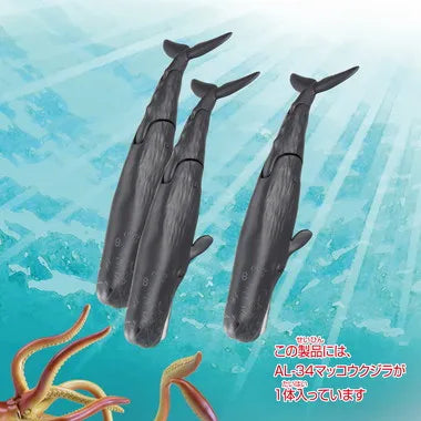 アニア AL-34 マッコウクジラ(水に浮くVer.)