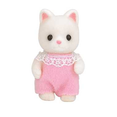 ニ-89 シルクネコの赤ちゃん