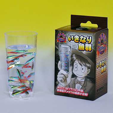 G1007 いきなり魚群