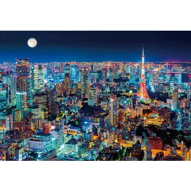 51-253 東京夜景