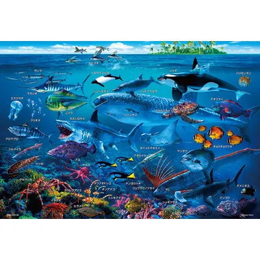 100-029 海の生物おぼえちゃおう