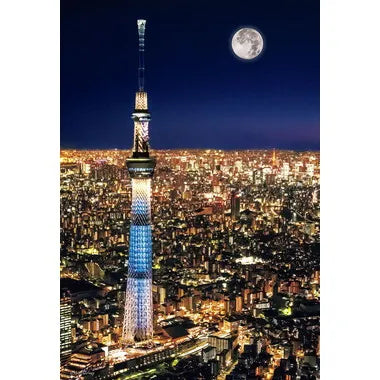 93-146 東京スカイツリー ナイトビュー
