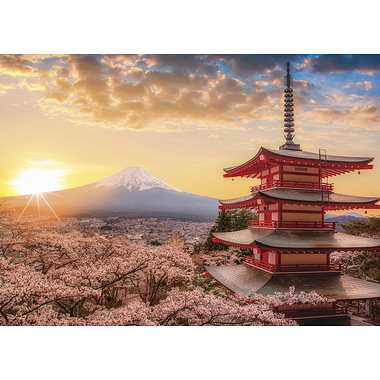 春暁の富士山と桜(山梨)