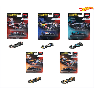 JKD78  ＨＷ プレミアム レース マネーグラム・ハース　フォーミュラ 1 チーム (#31)