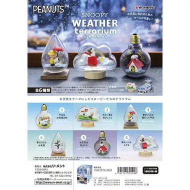 SNOOPY WEATHER terrarium