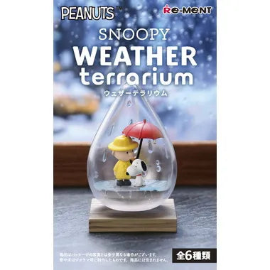 SNOOPY WEATHER terrarium
