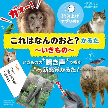 21167 これはなんの音？かるた～いきもの～