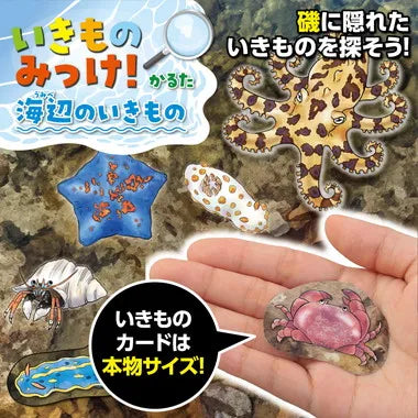 21657 いきものみっけ！かるた　うみべのいきもの