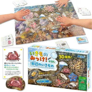 21657 いきものみっけ！かるた　うみべのいきもの