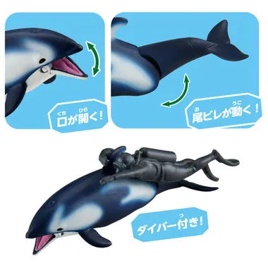 アニア　ＡＬ－４０　カマイルカ（ダイバー付き）（水に浮くVer.）