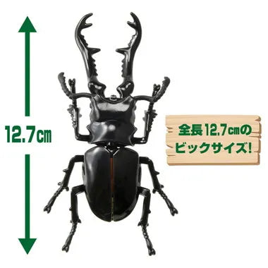 アニア　ＡＬ－３８　ギラファノコギリクワガタ