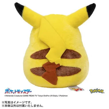 ポケモン30周年記念　おかえり！ピカチュウ1/1