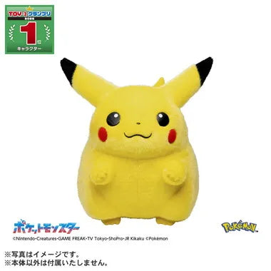 ポケモン30周年記念　おかえり！ピカチュウ1/1