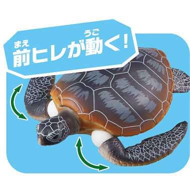 アニア　ＡＳ－２０　アオウミガメ親子（水に浮くVer.)