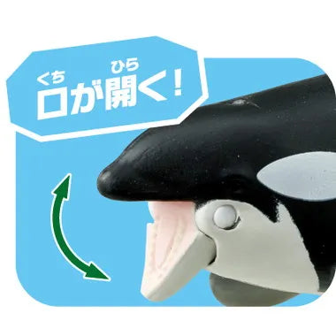 アニア　ＡＬ－０８　シャチ親子（水に浮くVer.)
