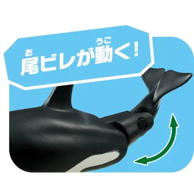 アニア　ＡＬ－０８　シャチ親子（水に浮くVer.)