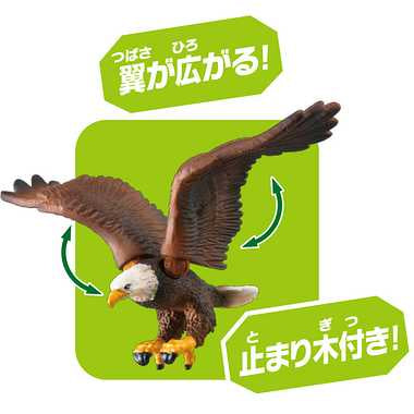 アニア　ＡＳ－０５ワシ（ハクトウワシ）