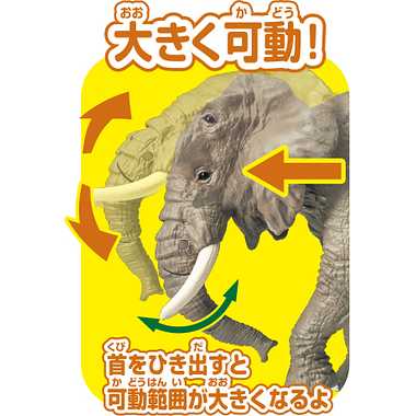 アニア　ＡＳ－０２　アフリカゾウ（オレンジ付き）