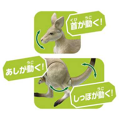 アニア　ＡＳ－２１　オオカンガルー