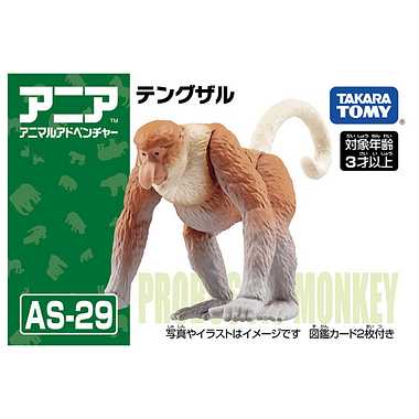 アニア　ＡＳ－２９　テングザル