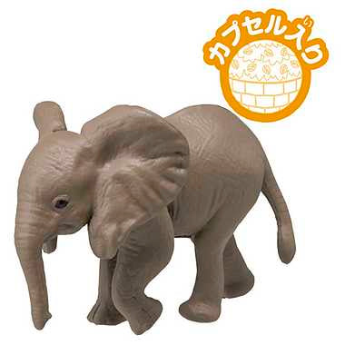 アニア　ＡＣ－０２ゾウ（子ども）