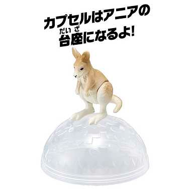 アニア　ＡＣ－０５カンガルー（子ども）