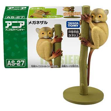 アニア　ＡＳ－２７　メガネザル（ニシメガネザル）