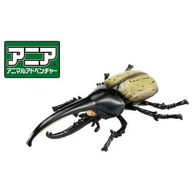 アニア　ＡＳ－３８　ヘラクレスオオカブト