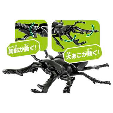 アニア　ＡＳ－４０　ギラファノコギリクワガタ