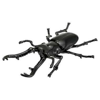 アニア　ＡＳ－４０　ギラファノコギリクワガタ