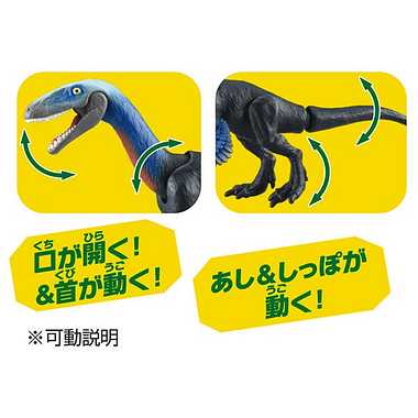 アニア　ＡＬ－２１　フクイベナートル
