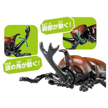 アニア　ＡＳ－３７　カブトムシ