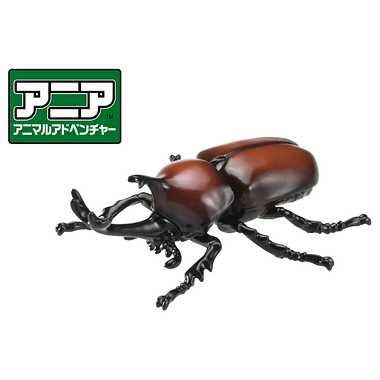 アニア　ＡＳ－３７　カブトムシ