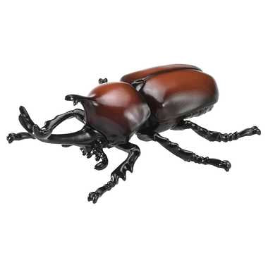 アニア　ＡＳ－３７　カブトムシ