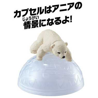 アニア　ＡＣ－１０　ホッキョクグマ（子ども）